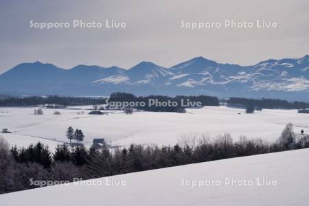 丘と十勝岳連峰