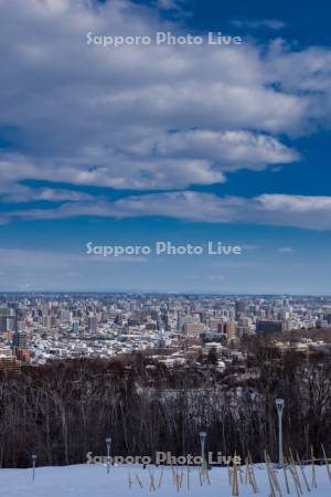 旭山記念公園より市街展望