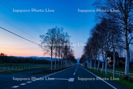 夕景のパノラマロードと内浦湾