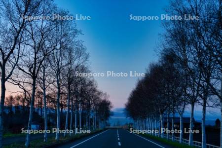 夕景のパノラマロードと内浦湾
