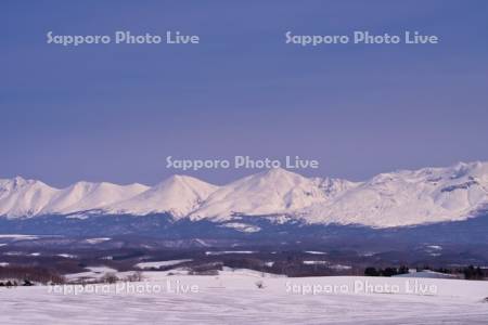 融雪剤の畑と十勝岳連峰