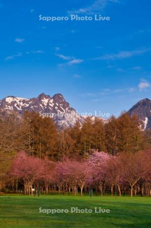 山部自然公園太陽の里キャンプ場