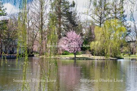 常盤公園