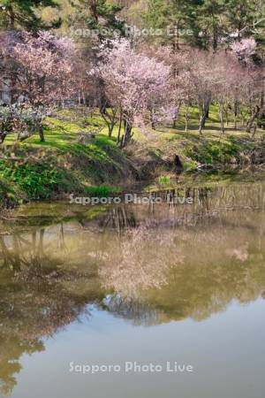 赤平公園