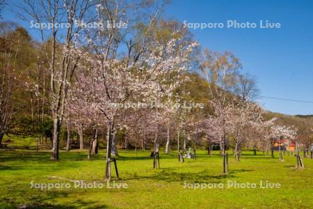 赤平公園