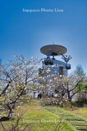 東明公園の桜とスペースカリヨン