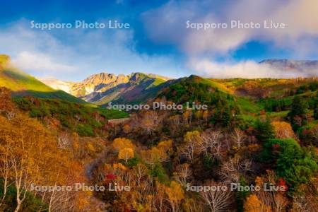 十勝岳温泉の紅葉