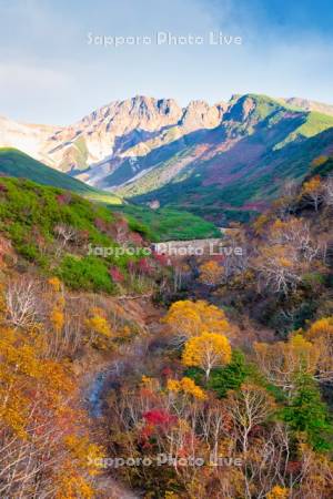 十勝岳温泉の紅葉
