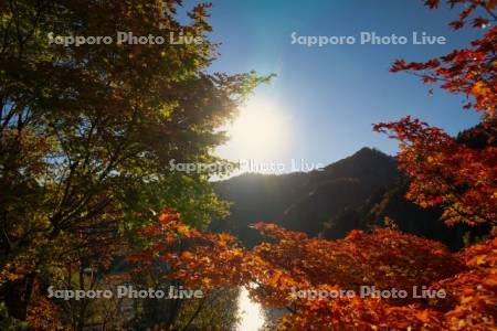 紅葉と豊平峡ダム