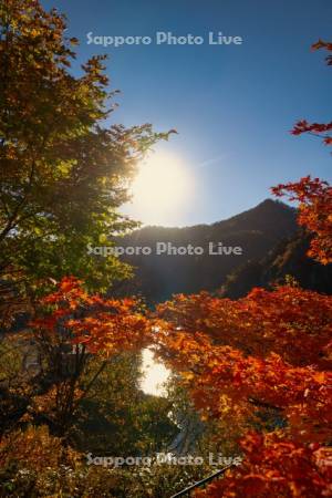 紅葉と豊平峡ダム