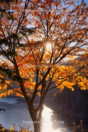 紅葉と豊平峡ダム