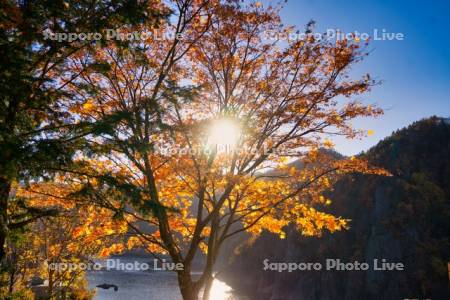 紅葉と豊平峡ダム