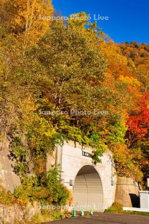 紅葉と豊平峡ダム