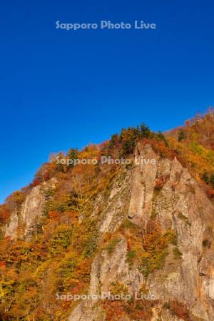 豊平峡の紅葉