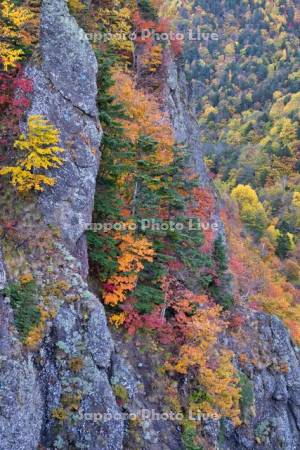 豊平峡の紅葉