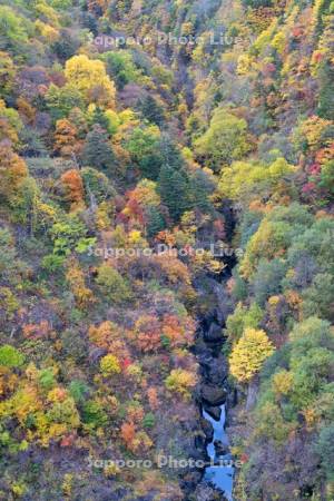 豊平峡の紅葉