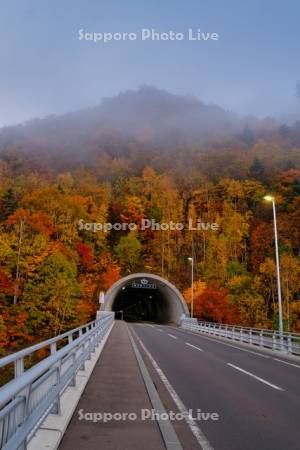 紅葉と四ツ峰トンネル