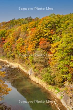 滝の上公園　夕張川と紅葉