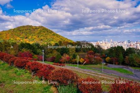 旭山記念公園と円山