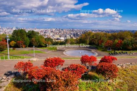 旭山記念公園より市街展望