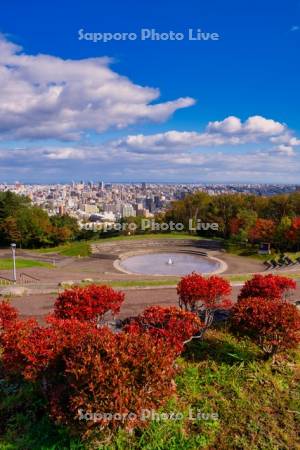 旭山記念公園より市街展望