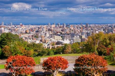旭山記念公園より市街展望