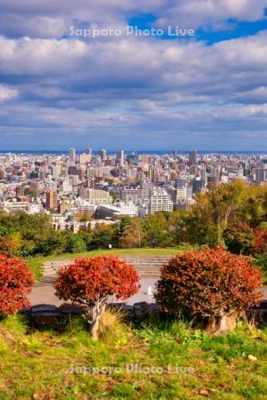 旭山記念公園より市街展望