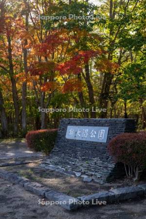 錦大沼公園