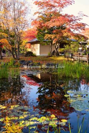 玉泉館跡地公園　心字池