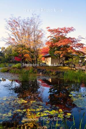 玉泉館跡地公園　心字池