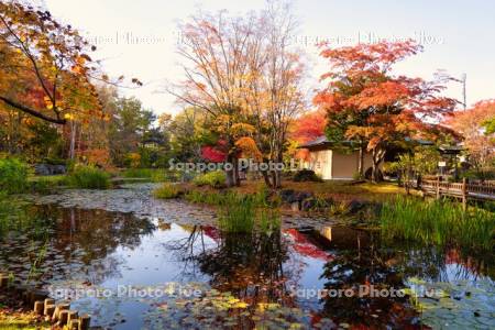 玉泉館跡地公園　心字池