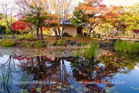 玉泉館跡地公園　心字池