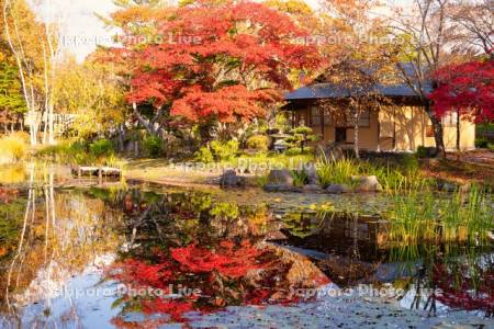 玉泉館跡地公園　心字池