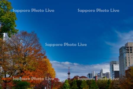 大通公園