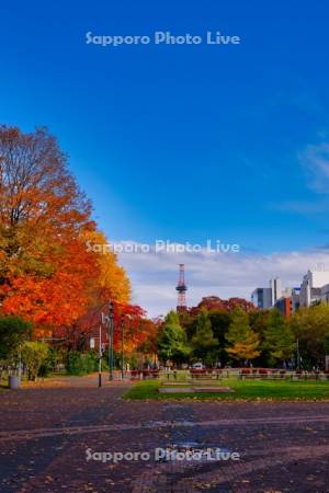 大通公園