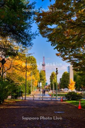 大通公園