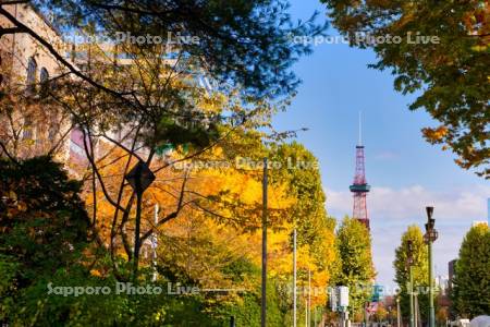 大通公園