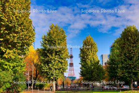 大通公園　テレビ塔