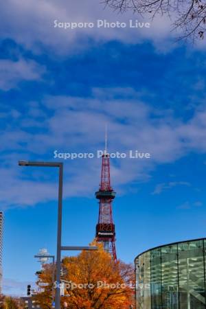 大通公園　テレビ塔