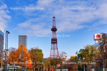 大通公園　テレビ塔