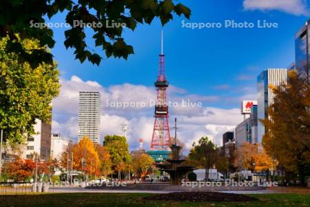 大通公園　テレビ塔