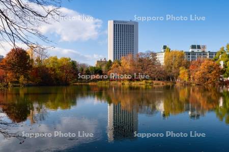 中島公園　菖蒲池