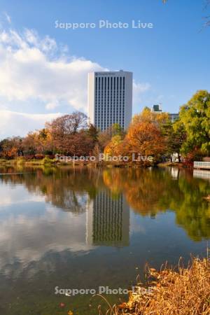 中島公園　菖蒲池