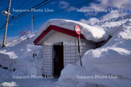 雪に埋もれたバス停