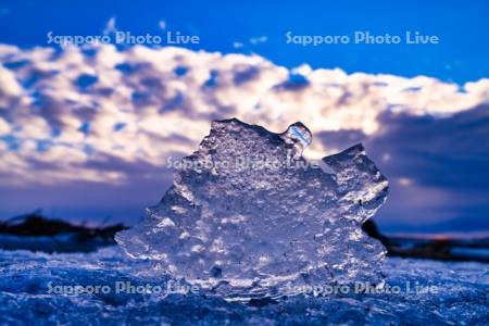 大楽毛海岸の氷