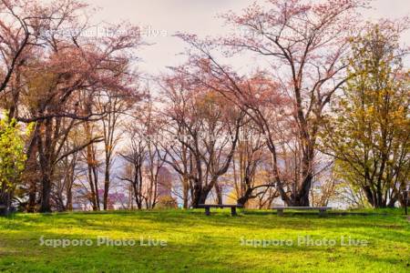 平磯公園