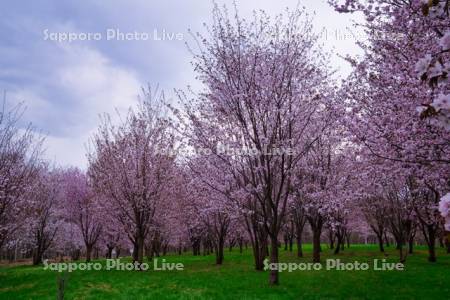 聖台ダム公園