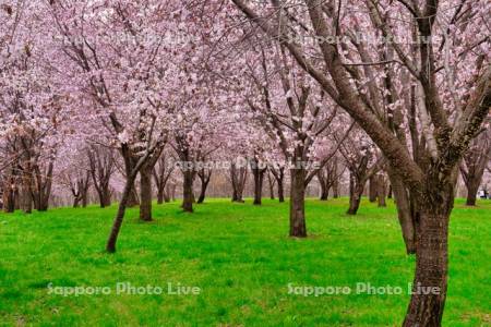 聖台ダム公園