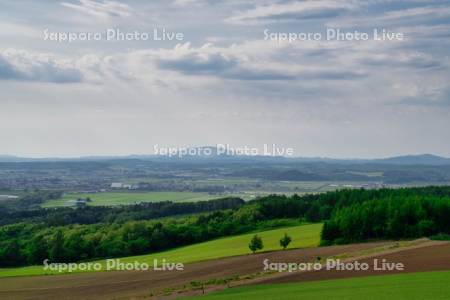 戸外炉峠より市街展望