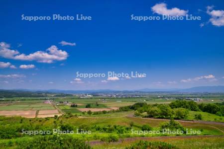 萌の丘より市街展望